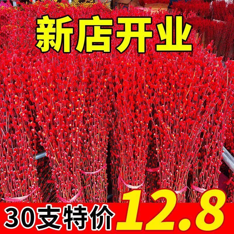 银柳真花鲜枝年宵花卉招财福桶银柳干花冬季水培植物室内客厅装饰