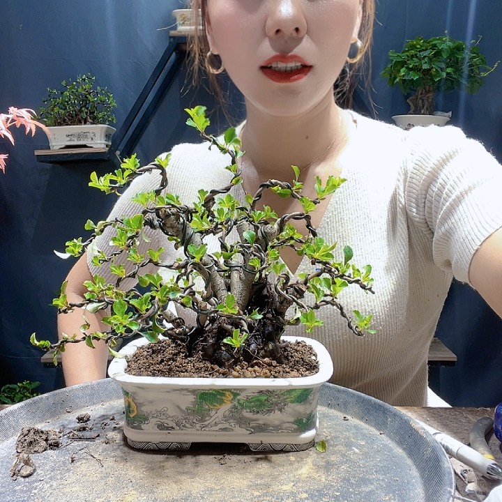花花花花花花花花花