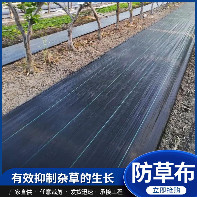 防草布农用果园黑色除草布白色抑草布透气渗水绿色园艺地布可打孔