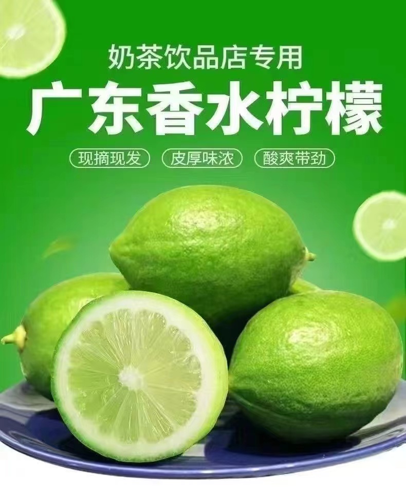 新鲜香水柠檬一级果清香清新无籽果香果园现采多汁绿色独立包装