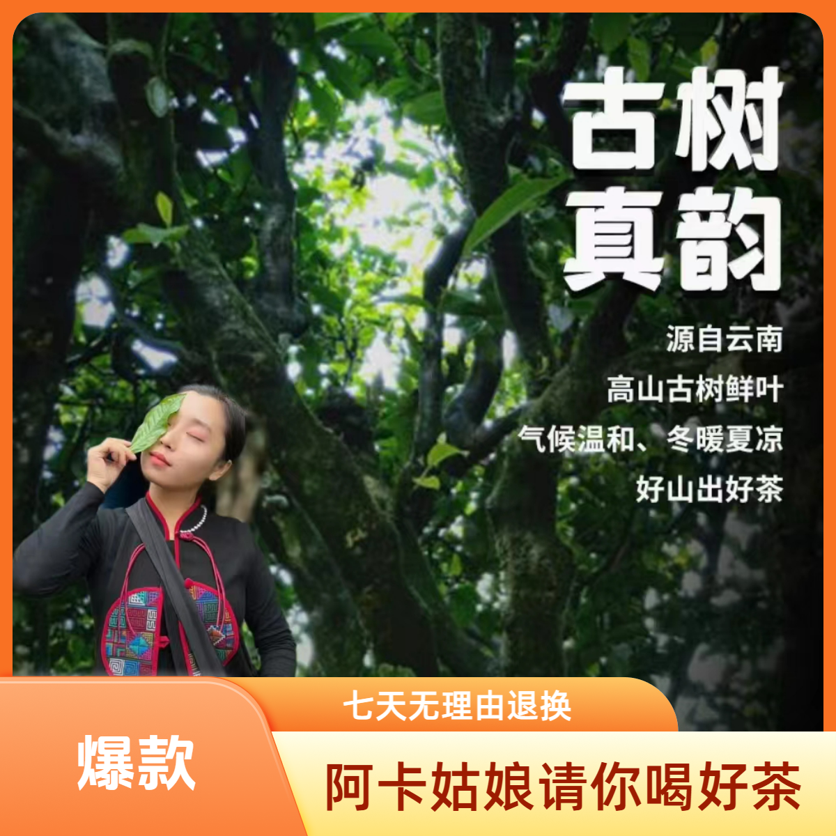 第二款-忙波32号-凉水青龙珠10颗