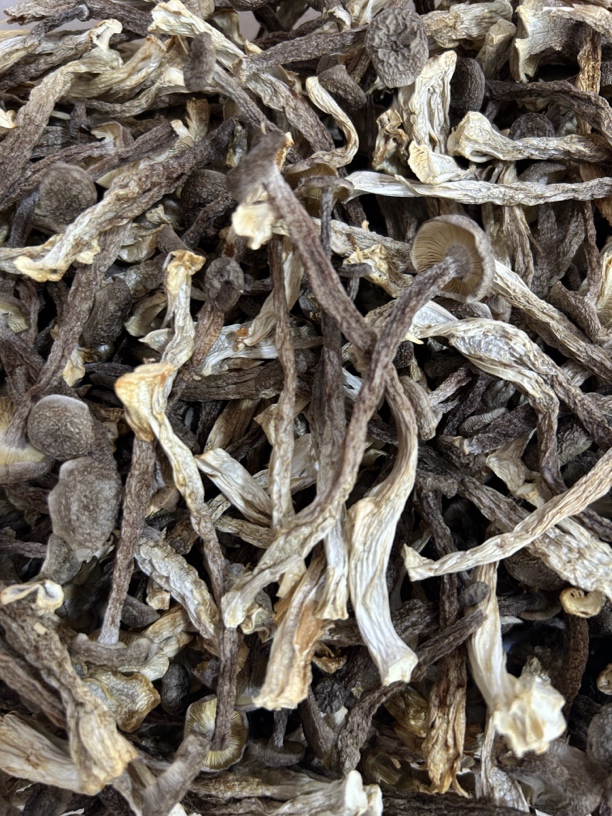 【鹿茸菇】鹿茸菇干货无熏硫