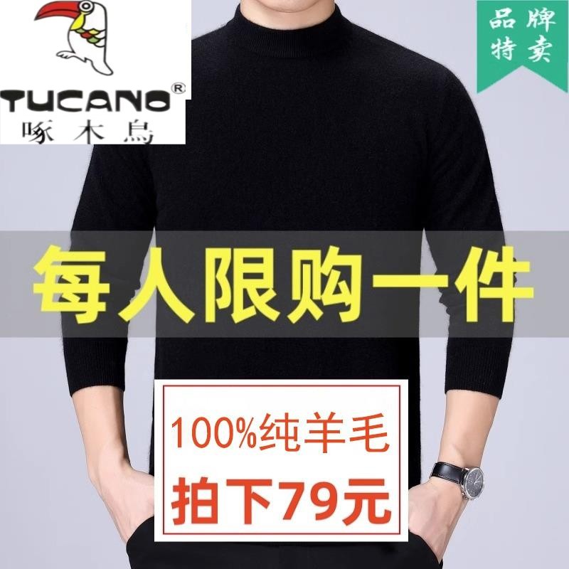 啄木鸟集团100%羊毛衫男士春秋黑色打底针织半高圆领薄款羊毛衣