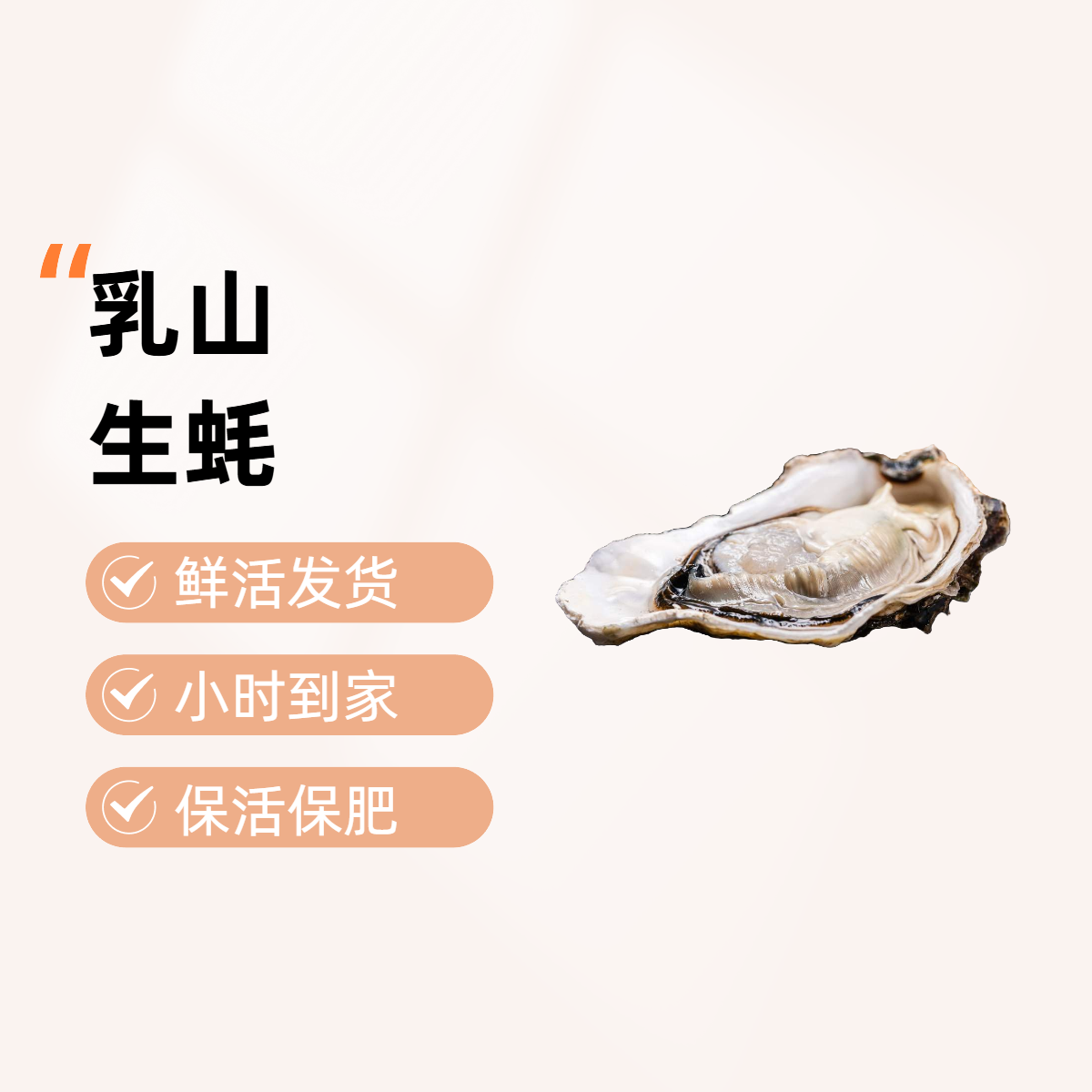 【包肥包活】乳山生蚝 