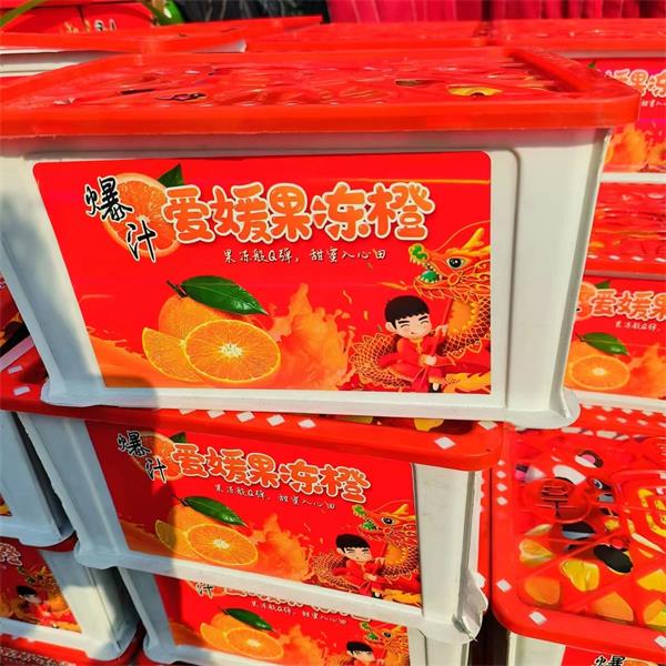 【带框约6斤】红美人爱媛果冻橙/筐