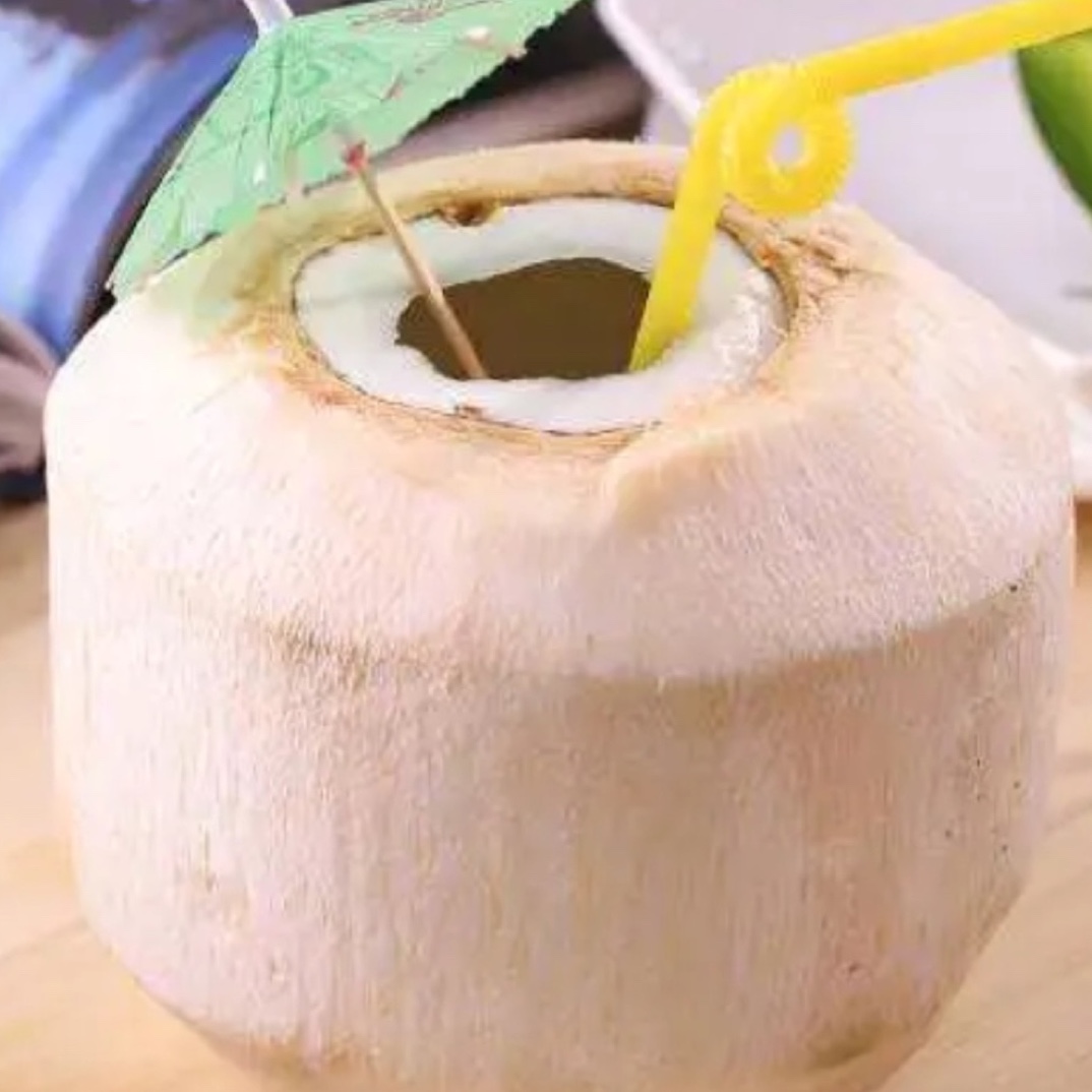 易开椰 拍拍椰 椰青9颗整箱