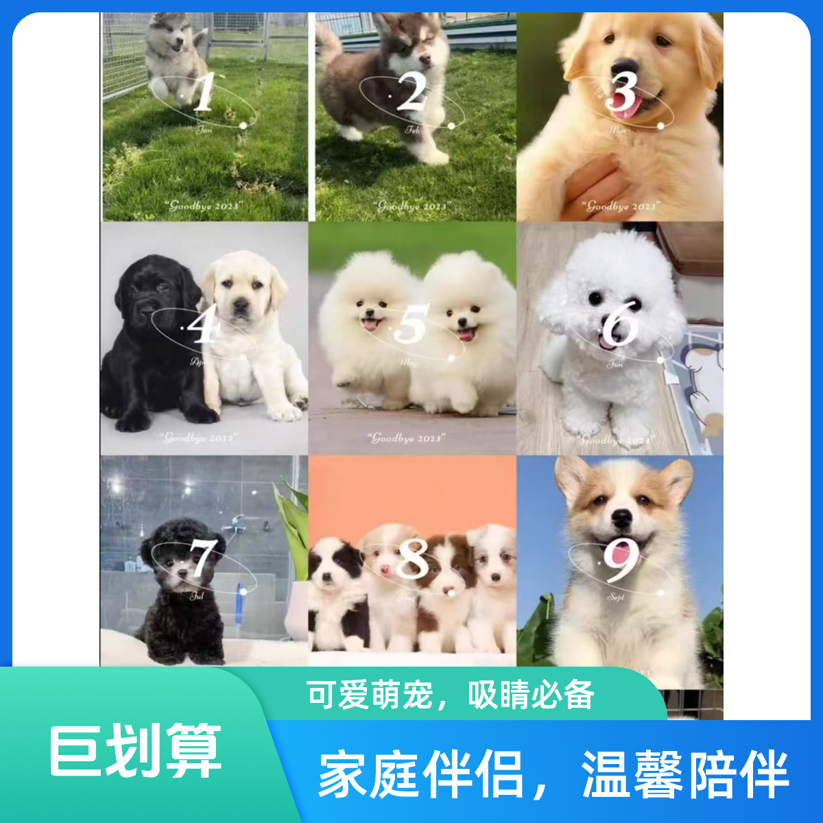 线上(补差价及运费)宠物链接