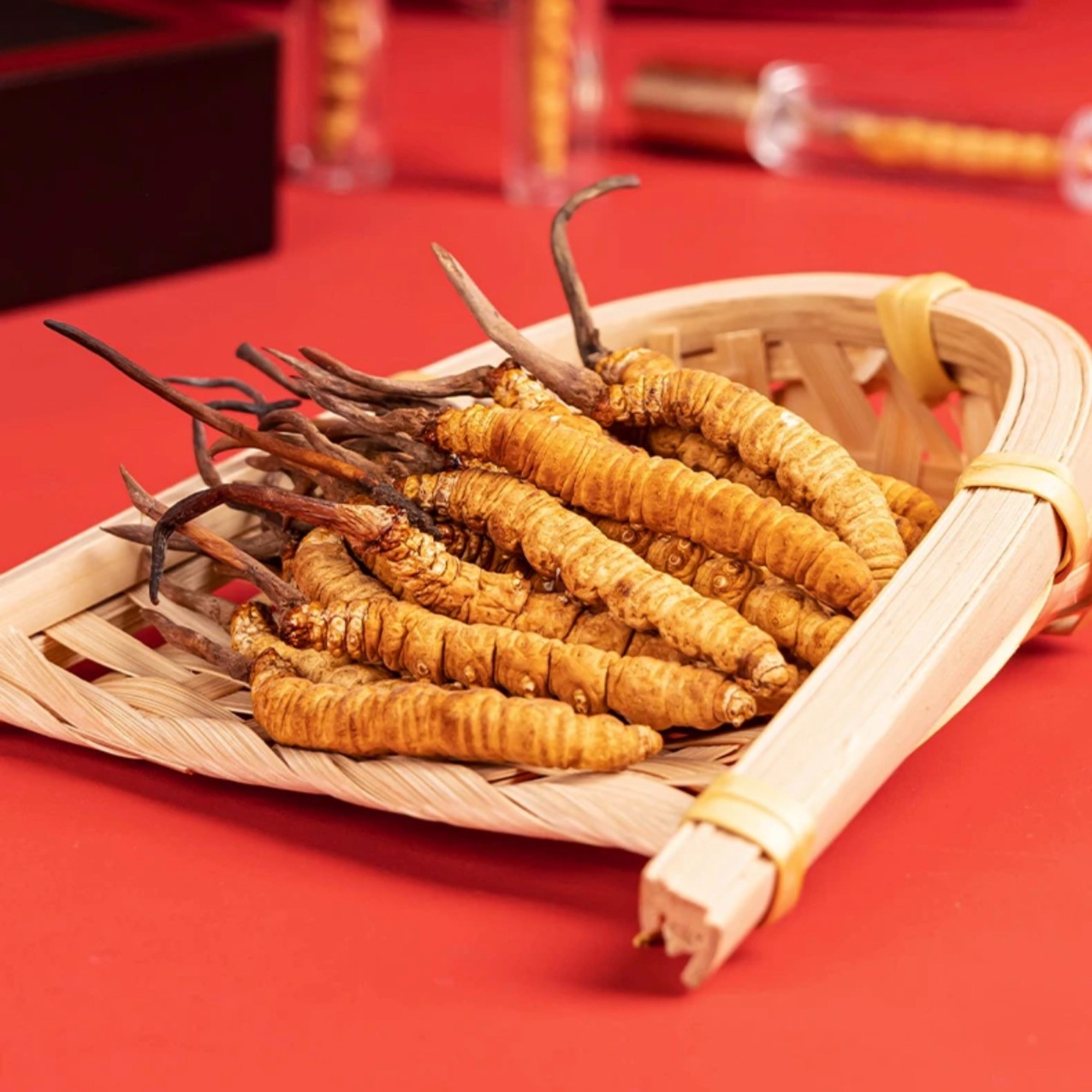 【特大草2根/克 非低海拔草 精选礼盒】 正宗那曲 2024 头期100根 