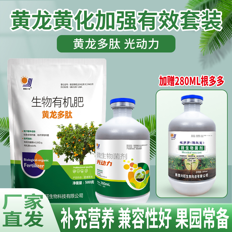 黄龙多肽光动力根多多柑橘果树黄龙黄化有效防治组合套装