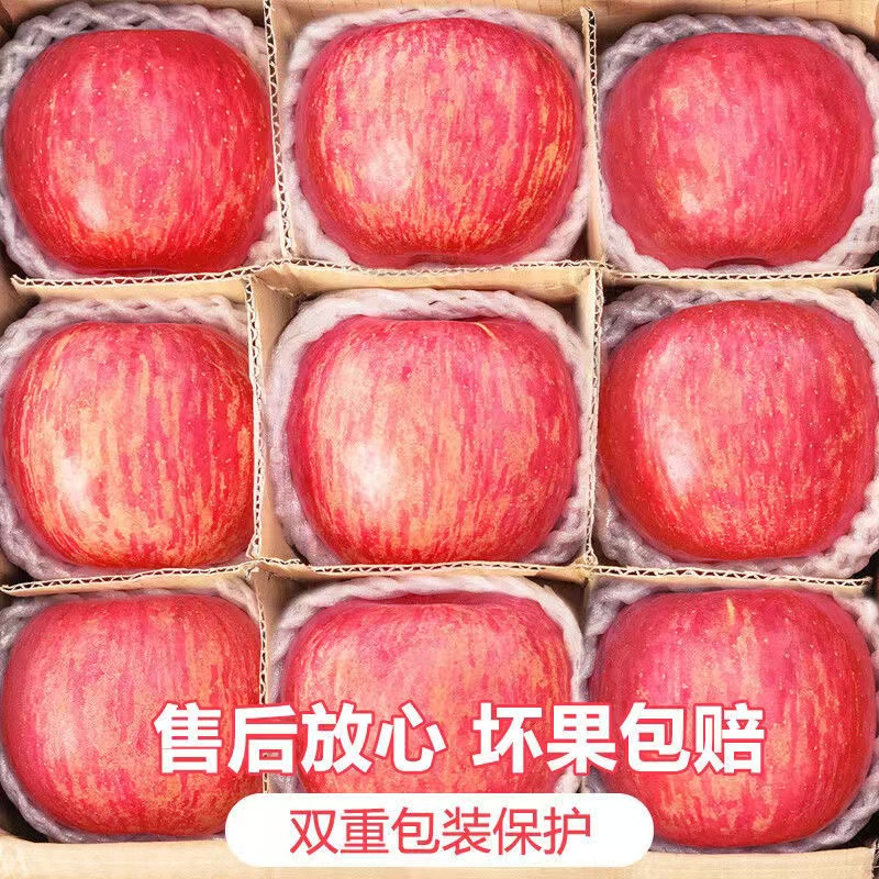 【爆甜】陕西洛川红富士苹果新鲜脆甜水果孕妇冰糖心平果整箱批发