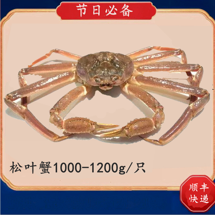 活冻松叶蟹板蟹雪蟹长脚蟹1000-1200g/只套餐