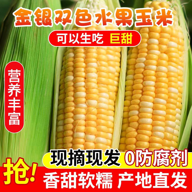 【新鲜】黄金水果玉米现摘水果玉米鲜嫩爆浆多汁现摘整箱带皮发货