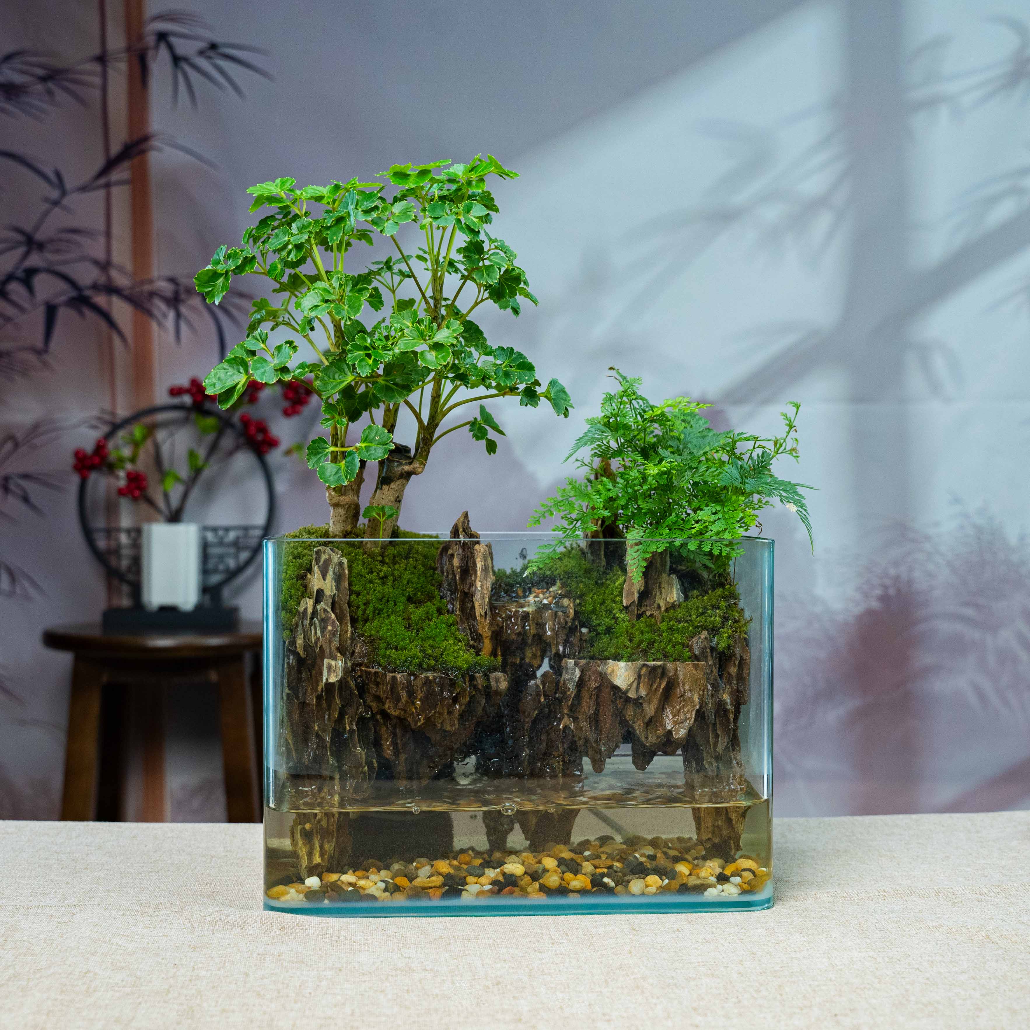方缸福禄桐流水景观-尺寸长25宽16高18厘米成品创意桌面景观