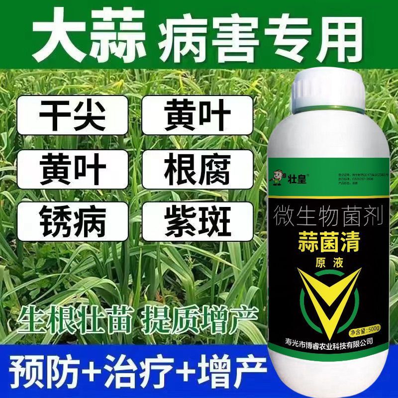 蒜菌清原液大蒜种植专用微生物生根养根粗壮补充营养肥料水溶农用