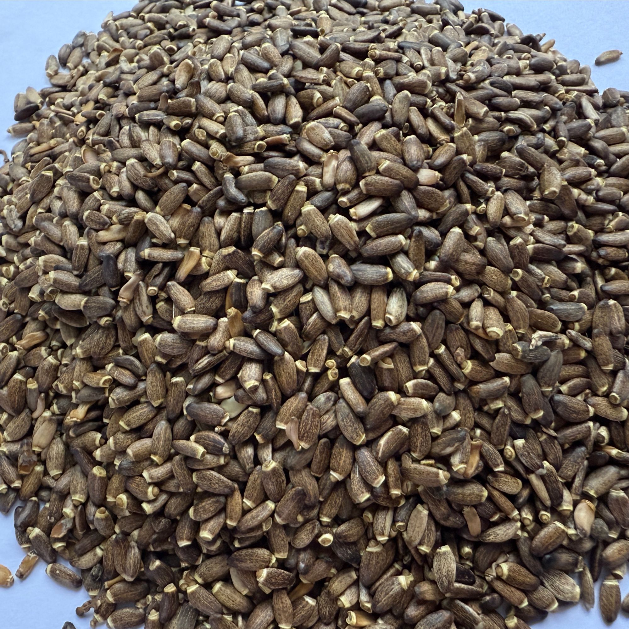 1【水-飞-蓟】净含量：250g-1000g【阿徐现收】