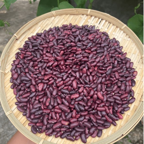 农家红腰豆蔬菜山货土货农产品