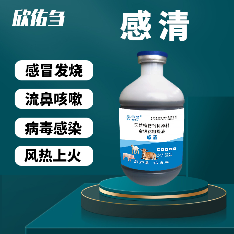 欣佑刍（感清）金银花粗体液