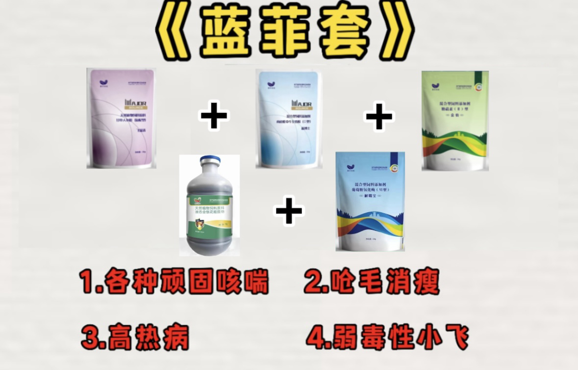 蓝菲组合，蓝菲套老配方解决顽固咳喘高热小飞