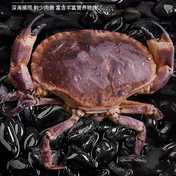 面包蟹江浙沪充氧发断脚蟹外地压冰发货【保鲜不包活】两只3斤以上