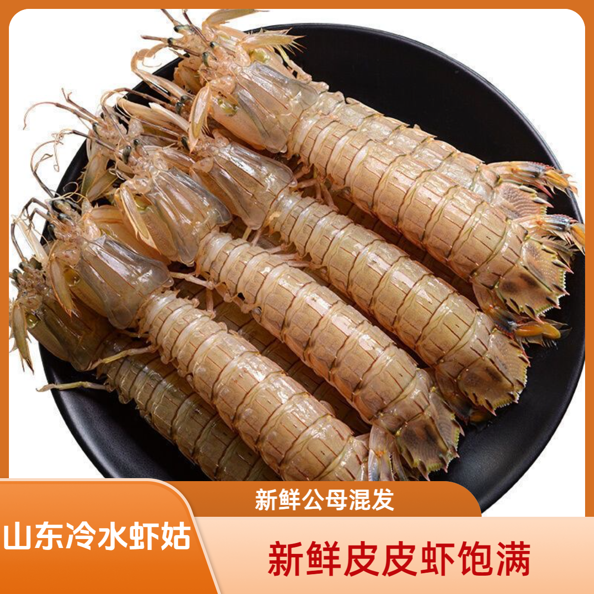 新鲜山东皮皮虾（1斤15-18条）江浙沪充氧其他省压冰【保鲜不包活】