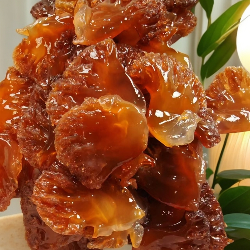 闽海龙野生海蜇特叶A>5斤 盐渍非即食凉拌菜爽 脆