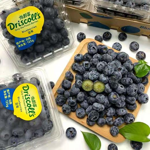 怡颗莓蓝莓 1盒125g