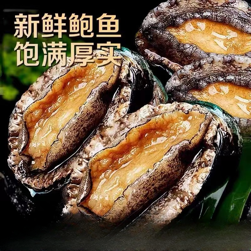 鲜活鲍鱼带壳鲜活水产