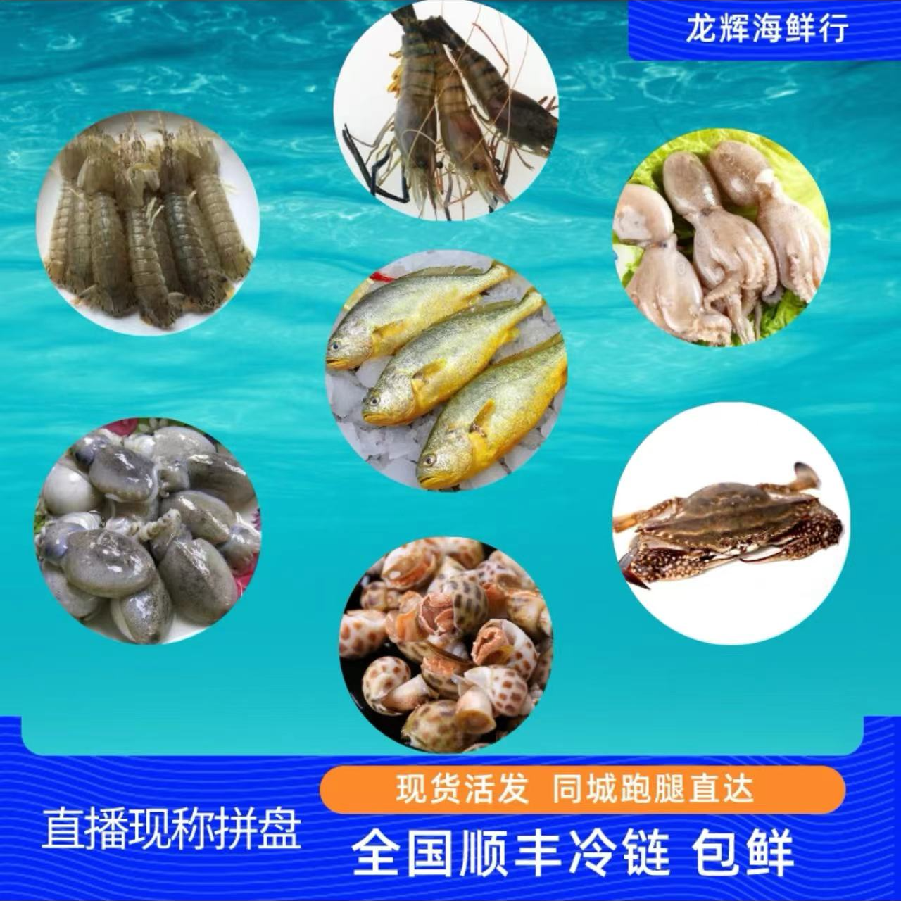 ③鲜活海鲜直播现称（直播间讲述为主）同城跑腿快递压冰包鲜