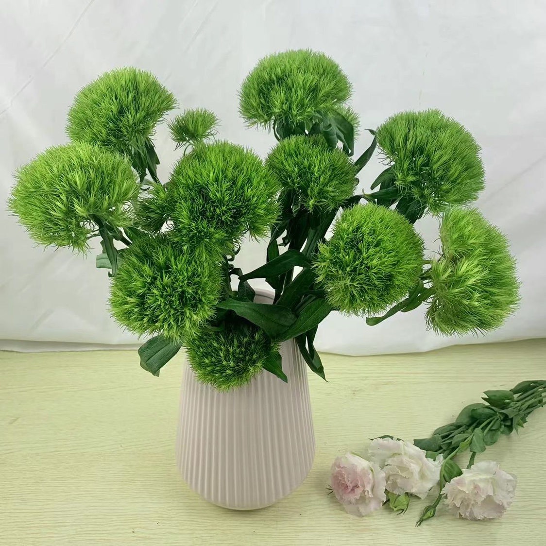 【沈阳晓全花行】绿毛球东北鲜花