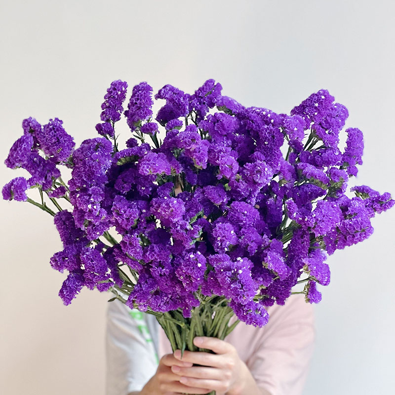 东北沈阳鲜花实体店勿忘我干花家庭鲜花