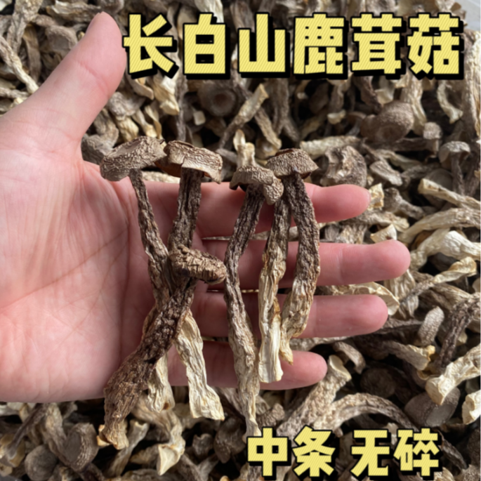 吉林长白山鹿茸菇250g脆脆菇干货干锅爆炒炖汤产地包邮批发
