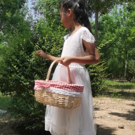 非藤编柳编手提篮野餐篮鸡蛋篮子带里衬