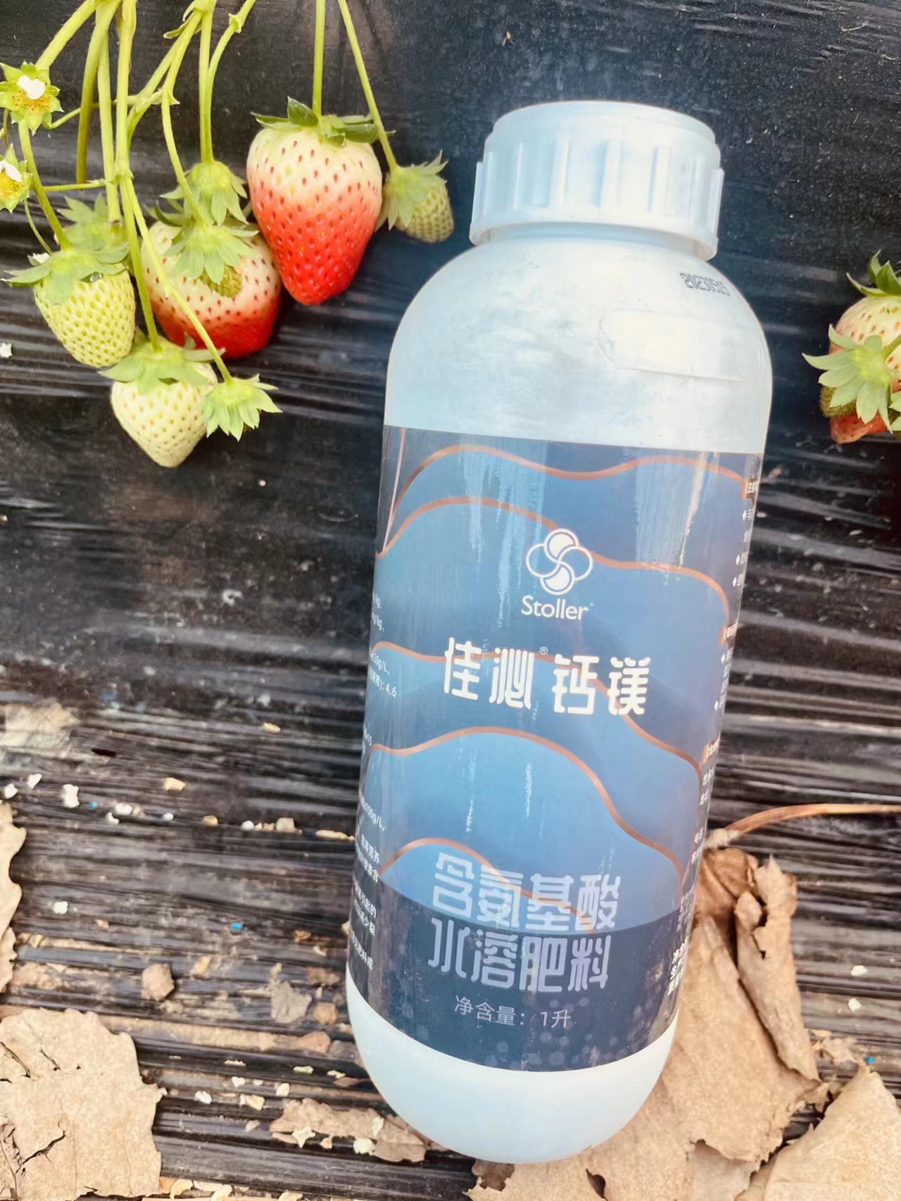 【宁强推荐】佳泌 叶面水溶肥钙镁提高叶绿素叶厚减少黄化裂果 