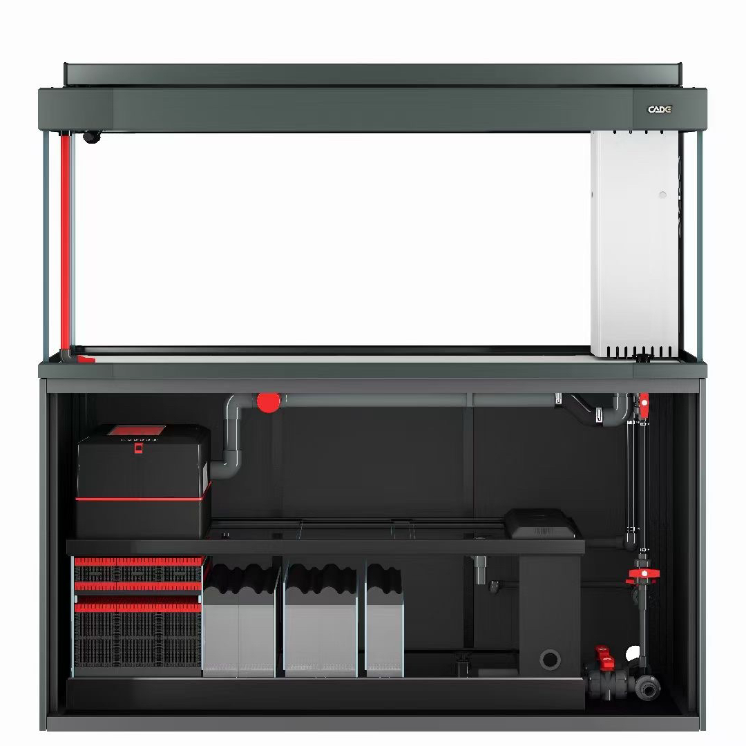 [子文精选]彩蝶DC系列专业龙缸（裸缸价，勿拍）