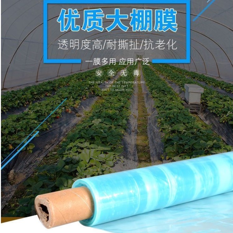 大棚膜加厚无滴膜抗老化进口高透光保温防风农用薄膜蔬菜农用养殖