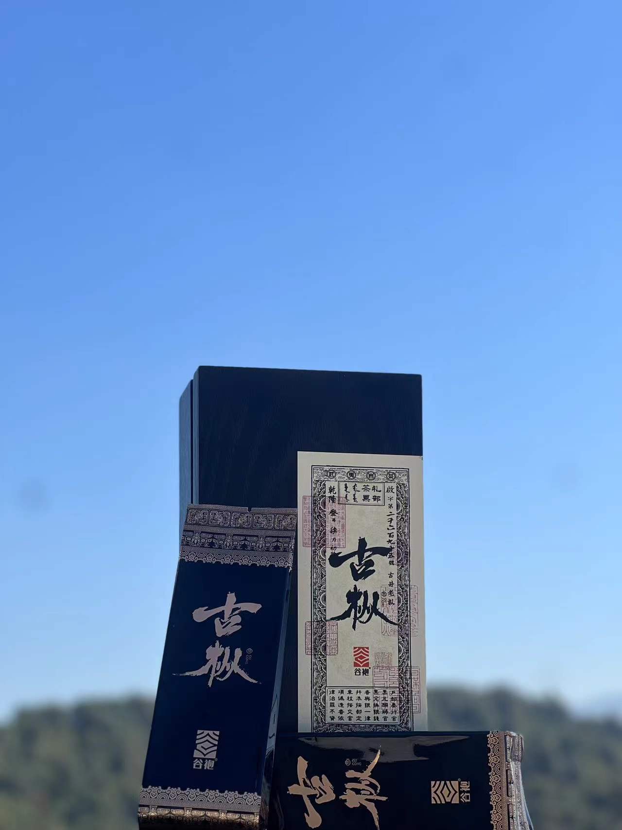 谷袍 古枞（古井老枞） 武夷岩茶 礼盒装 9g*6泡