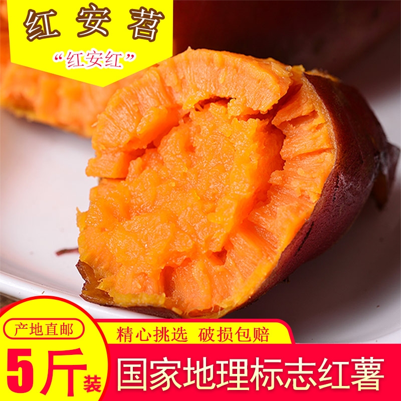 湖北特产红安红薯新鲜红安苕红薯西瓜红红心红薯甜糯蜜薯5斤装
