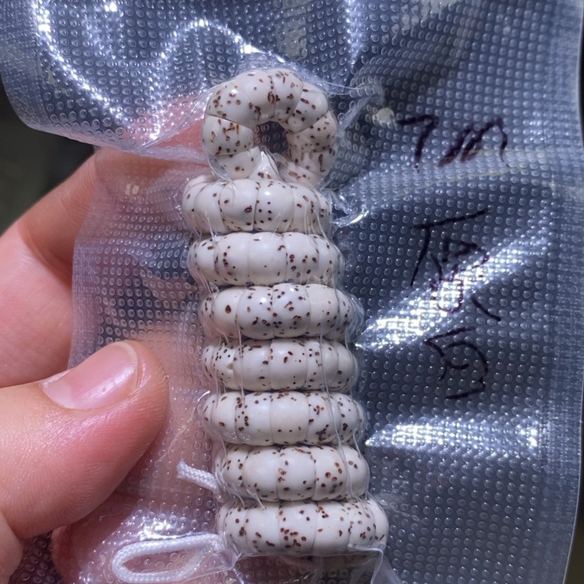 【闪购商品】星月菩提吊坠299