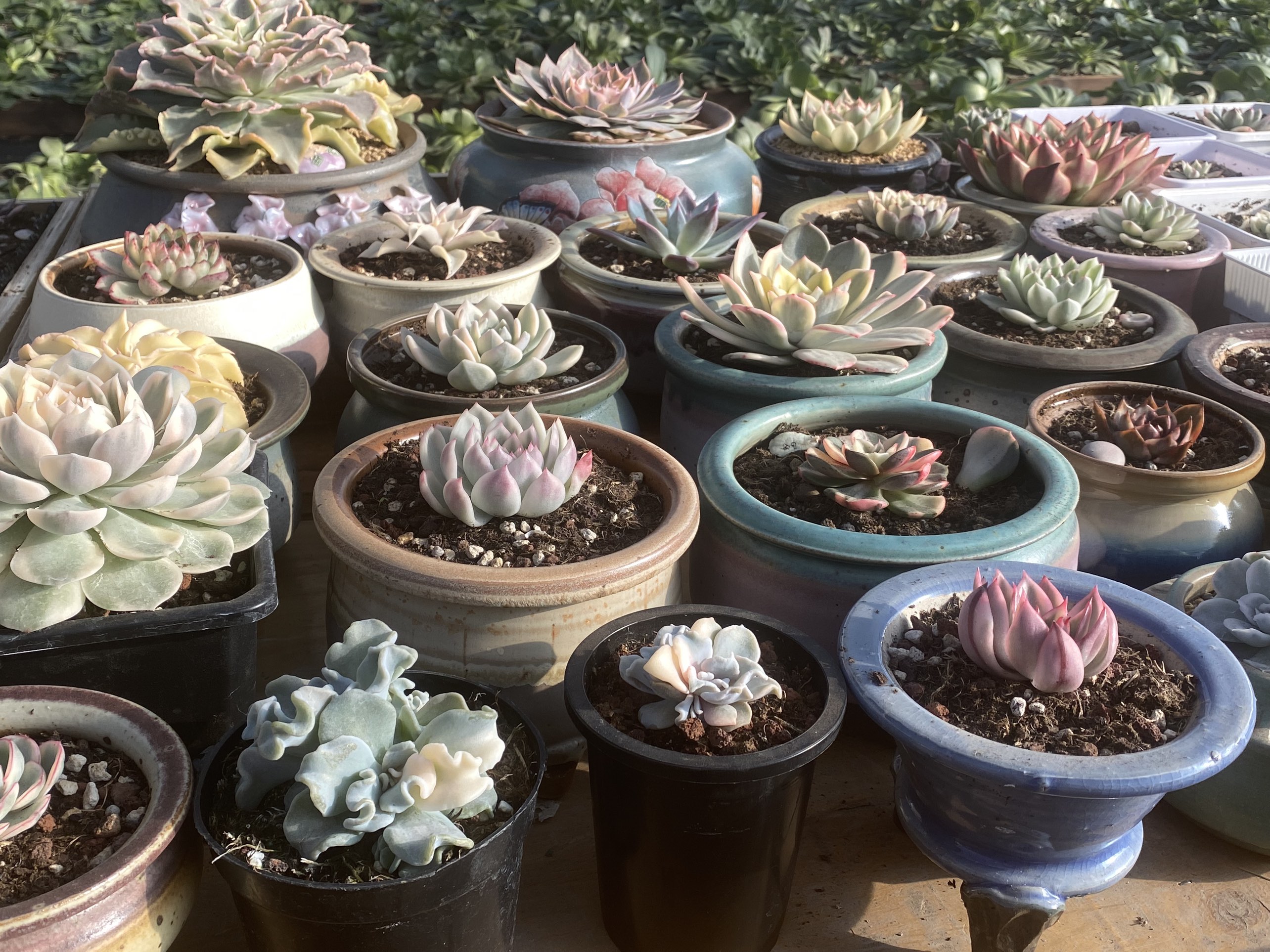 凑单链接( ﹡ˆoˆ﹡ )