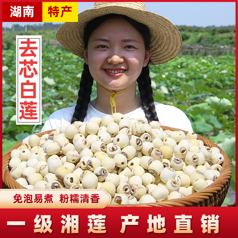 【精选去芯白莲500g】湖南农家自种现磨新货白莲湘莲煲汤煮粥特产