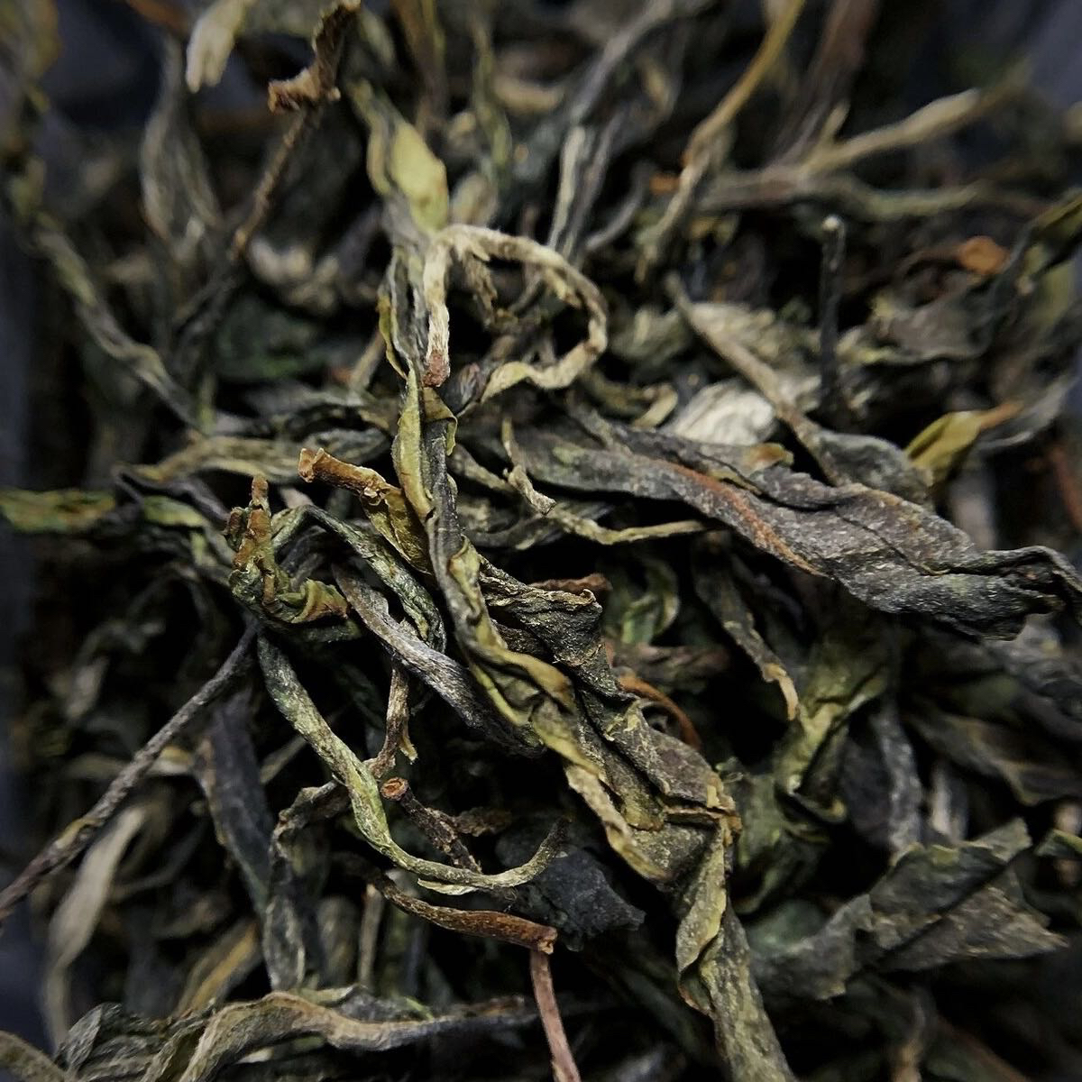 源头产地  阿三茶叶大雪山古树2023年头春古树普洱茶生茶 散茶