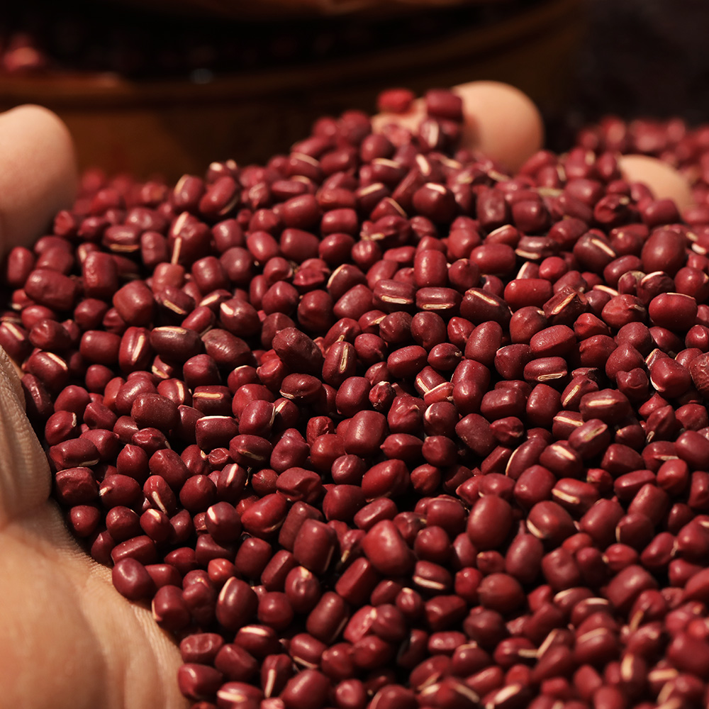 2024新红豆老品种红豆农家自种红豆豆沙包八宝粥原料