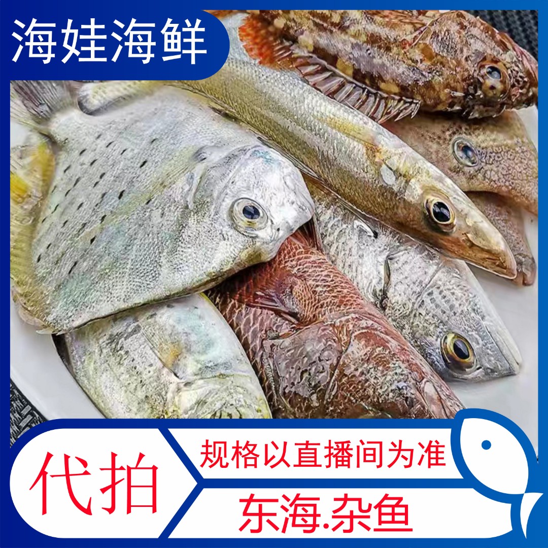[海娃海鲜]台州东海海鲜代拍链接包邮