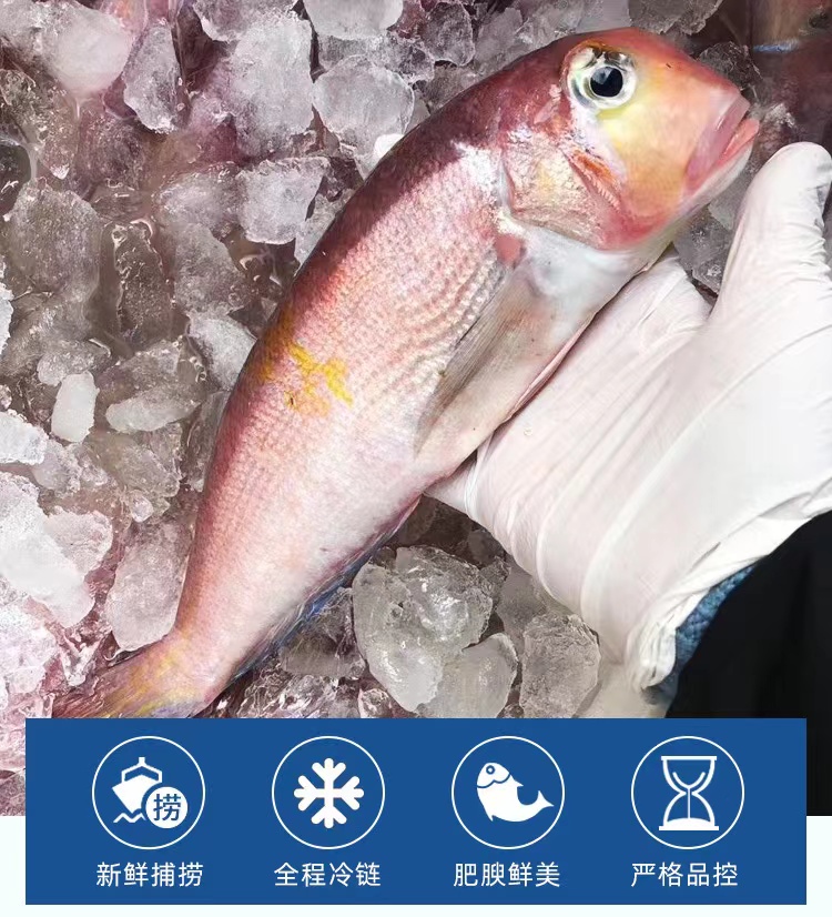 4斤装斧头鱼1斤3条左右东海野生海捕顺丰包邮