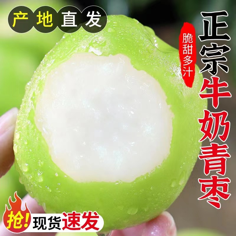 云南正宗牛奶大青枣贵妃枣水果产地直发新鲜枣子  3/5斤 脆甜青枣