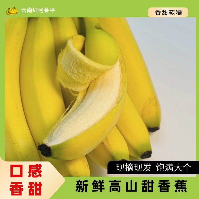 云南红河高原新鲜香蕉甜香蕉大香蕉云南高山香蕉云南高原香蕉水果