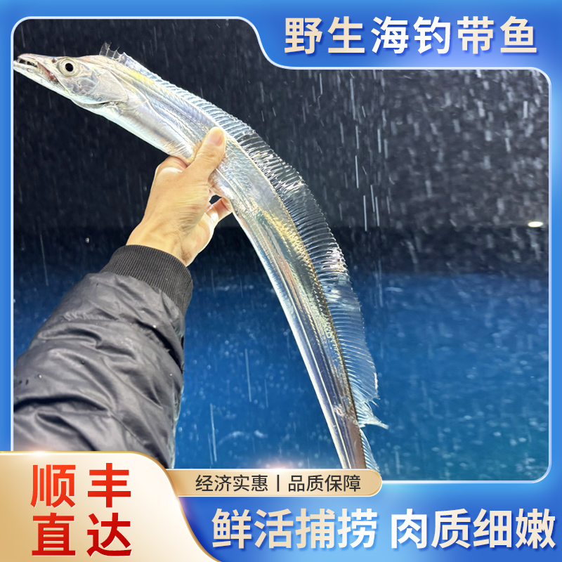 【7-9两/条】 舟山海钓带鱼东海钓带鱼小眼睛带鱼新鲜 船冻锁鲜