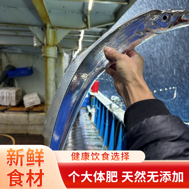 【5-7两/条】 舟山海钓东海新鲜小眼睛现钓带鱼 船冻锁鲜