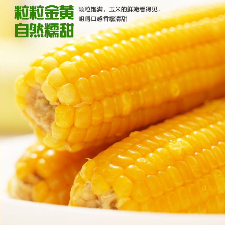 2024头茬 262品种 东北黄糯玉米 280g*10根