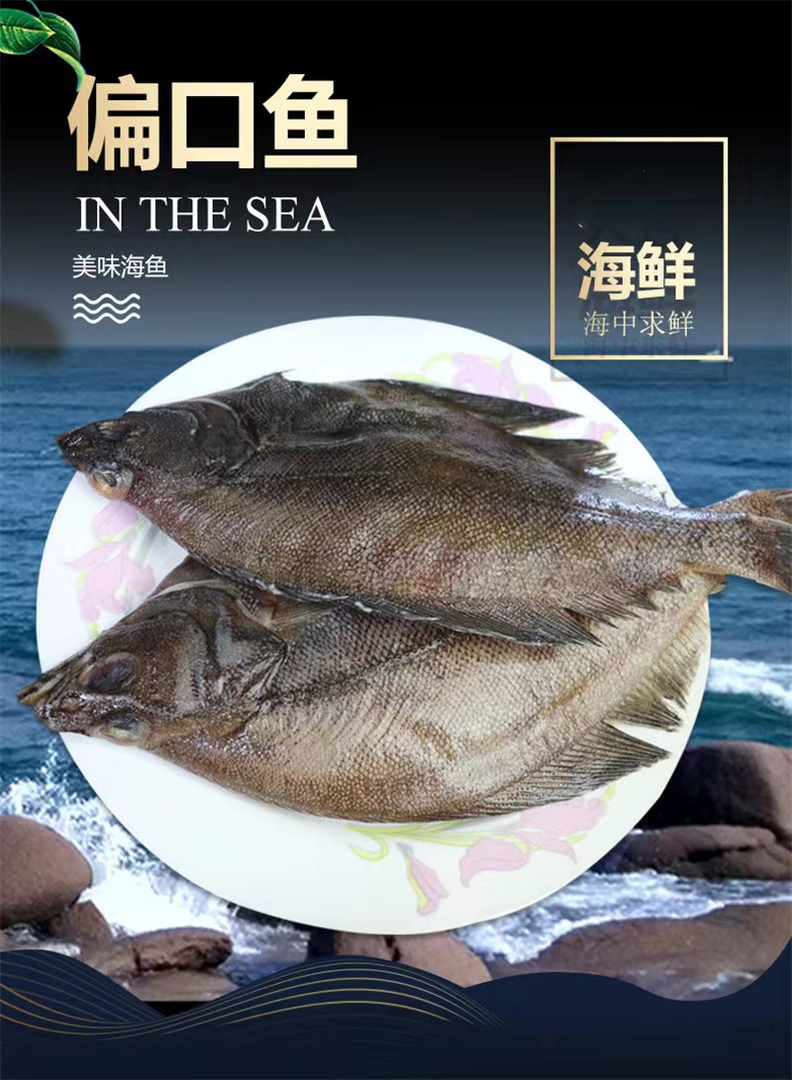 新鲜海捕小偏口鱼 偏口鱼净重4斤威海发货 码头直供